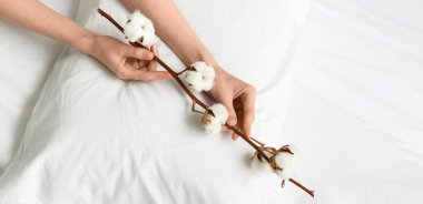 Beyaz çarşaflarda pamuk filizi olan kadın elleri.