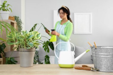 Sulama kabı ve kesicileri olan bitkiler masada, yakın plan.