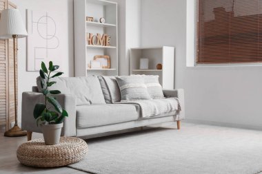 Gri kanepe, lamba ve raf üniteleriyle modern oturma odasının içinde.