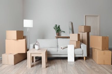 Taşındığı gün oturma odasında kanepe ve sehpa olan karton kutular.