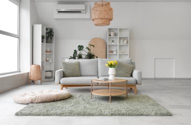 Rahat kanepesi ve gri halısı olan aydınlık oturma odasının içinde.