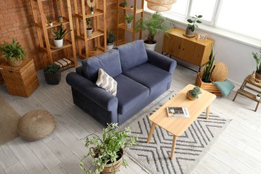 Konforlu kanepe, masa, ahşap göğüs çekmecesi, ev bitkileri ve raf üniteleri olan bir çatı katı tarzı oturma odası.