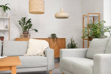 Koltukları, çiçekleri, göğüs çekmecesi, raf üniteleri ve masası olan rahat bir oturma odası.