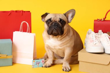 Hediye kartı ve sarı arka planda alışverişi olan sevimli Fransız bulldog 'u.