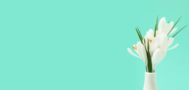 Turkuaz arkaplan üzerine güzel beyaz timsahlar içeren vazo metin için yer, yakın plan