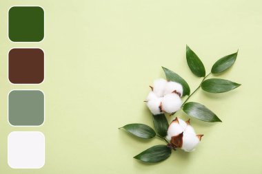 Pamuk çiçekleri ve yeşil arka planda bitki dalları