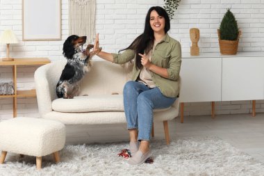 Bayan köpek bakıcısı evcil hayvanı eğitiyor.