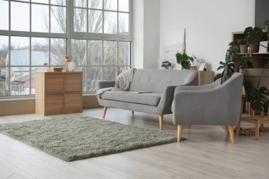 Gri kanepesi ve koltuğu olan modern oturma odasının içinde.