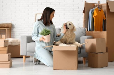 Genç, mutlu bir kadın ve taşınma gününde kutuları olan sevimli Labrador köpeği evde oturuyor.