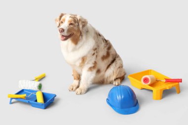 Açık arkaplanda sevimli köpek ve dekoratör araçları