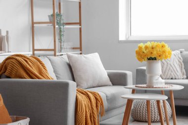 Gri kanepeleri, narsisli çiçekleri ve kahve masası olan güzel bir oturma odası.