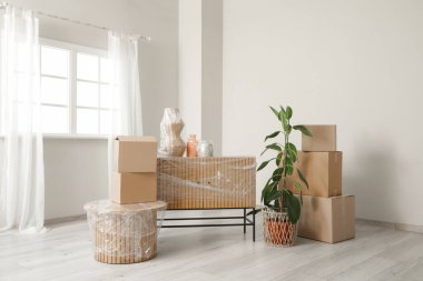 Taşındığı gün odada streç film, bitki ve kutularla paketlenmiş şeyler.