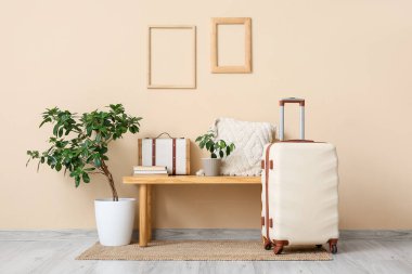 Benç, ev bitkileri ve bavul, odanın iç tarafındaki bej duvarın yanında.