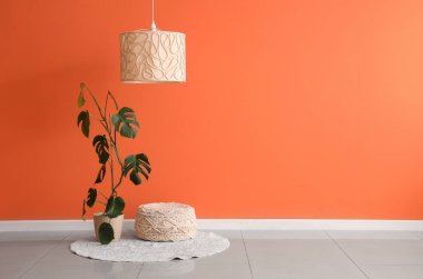 Pouf ve Çiçek, turuncu duvarın yanında, odanın içinde.