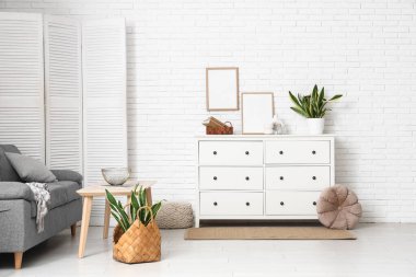 Oturma odasının içinde kanepe, katlanan perde ve Sansevieria bitkileri var.