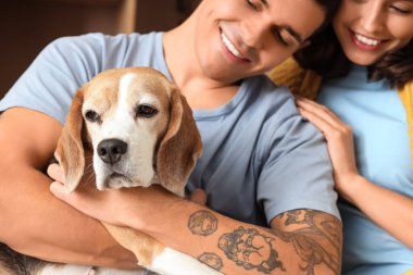 Evde sevimli Beagle köpeği olan genç çift, yakın plan.