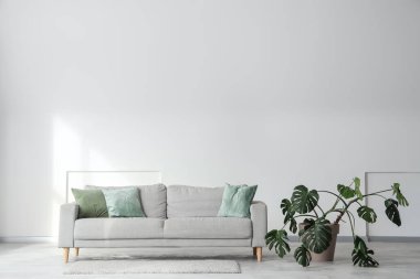 Aydınlık oturma odasının içinde gri kanepe, canavar bitki ve lamba.