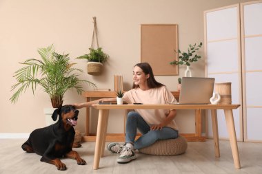 Şirin Doberman köpeği ve iş yerinde dizüstü bilgisayarı olan güzel, genç ve mutlu bir kadın.