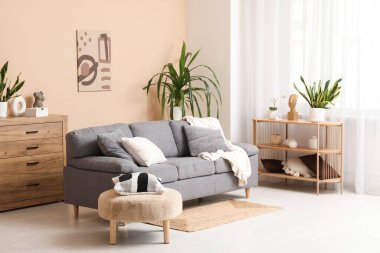 Koltuk, yastıklı puf, raf ünitesi, oturma odasının iç tarafındaki çekmeceler ve ev bitkileri.