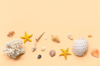 Bej arka planda deniz kabuğu, deniz yıldızı ve mercan bileşimi