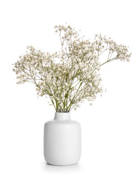 Beyaz arka planda izole edilmiş çingene çiçekli vazo