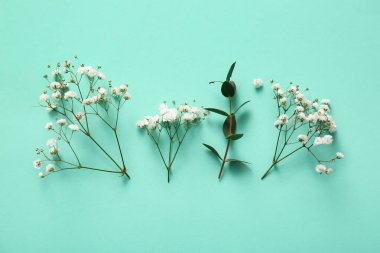 Turkuaz arka planda güzel çikila çiçekleri