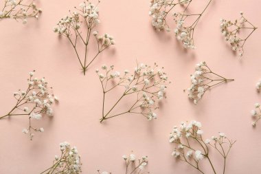 Pembe arka planda güzel çingene çiçekleri olan kompozisyon