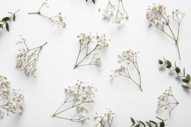 Beyaz arka planda güzel çigila çiçekleri olan kompozisyon