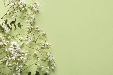 Yeşil arka planda güzel çigila çiçekleri olan kompozisyon