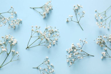 Mavi arka planda güzel çigila çiçekleri olan kompozisyon