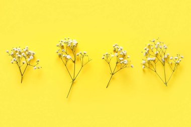 Sarı arka planda güzel çigila çiçekleri olan kompozisyon