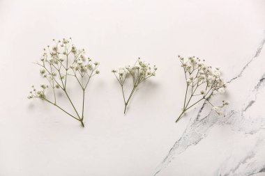 Mermer zemin üzerinde güzel çigila çiçekleri olan kompozisyon