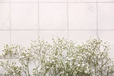 Beyaz karo zemin üzerinde güzel çikila çiçekleri