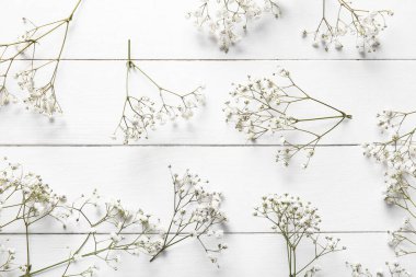 Beyaz ahşap arka planda güzel çigila çiçekleri olan kompozisyon