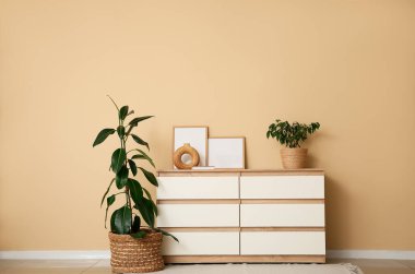 Çekmeceler ve hasır sepetler. Odanın içinde bej duvarın yanında bitkiler var.