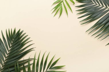 Bej arkaplanda tropikal yapraklardan yapılmış çerçeve, yakın plan