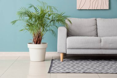 Oturma odasının iç tarafında rahat gri bir kanepe ve çiçek var.