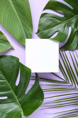 Leylak arka planında farklı tropik yapraklara sahip boş kart