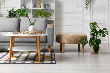 Masada ve şık koltukta tropikal canavar yaprakları olan modern bir oturma odası.