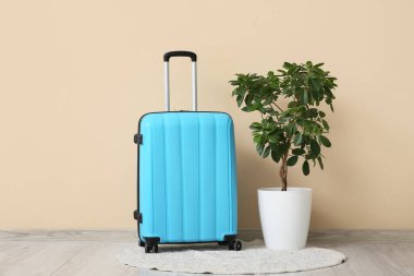 Çiçek ve bavul bej duvarın yanında.