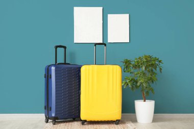 Çiçek ve bavullar mavi duvarın yanında.