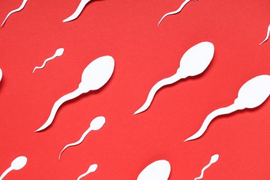 Kırmızı arkaplanda sperm hücreleri
