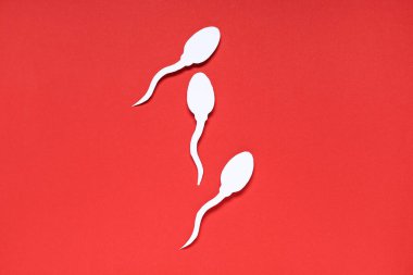 Kırmızı arkaplanda sperm hücreleri