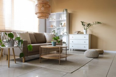 Gri kanepeli, masalı ve bitkilerli oturma odasının içinde.