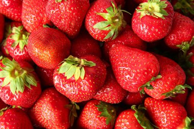 Arka planda bir sürü olgun çilek var.