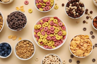 Farklı renkte mısır gevreği ve böğürtlen tabakları.