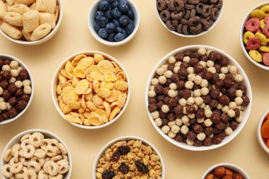 Farklı renkte mısır gevreği ve böğürtlen tabakları.