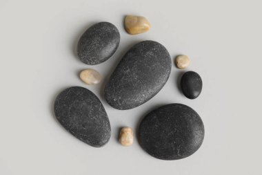 Gri arkaplanda farklı deniz taşları