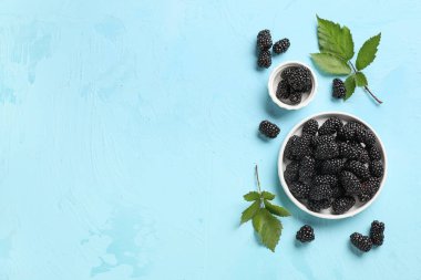 İçinde olgun böğürtlen kaseleri ve mavi arka planda yapraklar olan kompozisyon