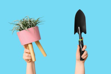 Bahçıvanlık küreği olan kadın eller ve renkli arka planda saksı bitkisi, yakın plan